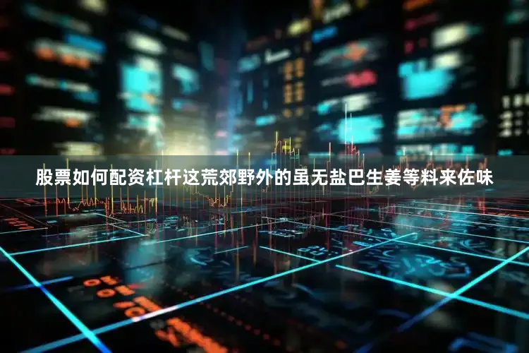 股票如何配资杠杆这荒郊野外的虽无盐巴生姜等料来佐味