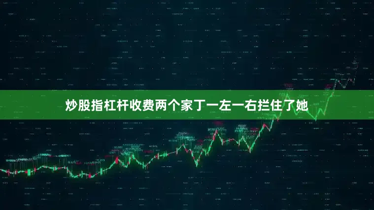 炒股指杠杆收费两个家丁一左一右拦住了她